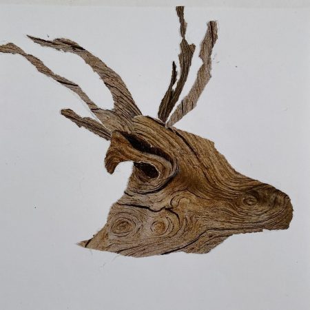 Deer 2025