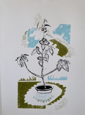 Elegante plant blue (screen printing) 50 x 70 cm 2024