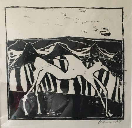 Kameel 1 1988 Lino