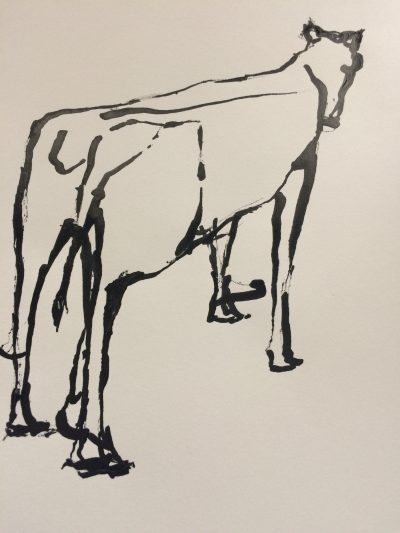 Nandi 2018
