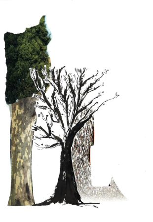 Tree 2015-2020