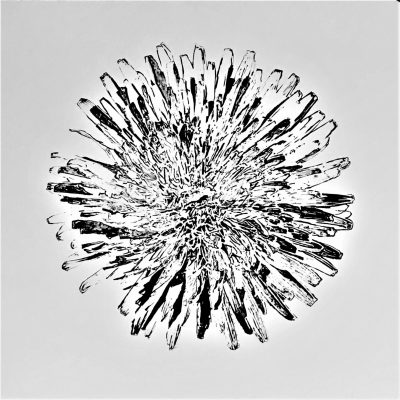 Understanding The Dandelion - h 70 x br 75 - Zeefdruk oplage 1 uit 6 2022