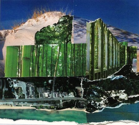 Wild architecture 2005-2013